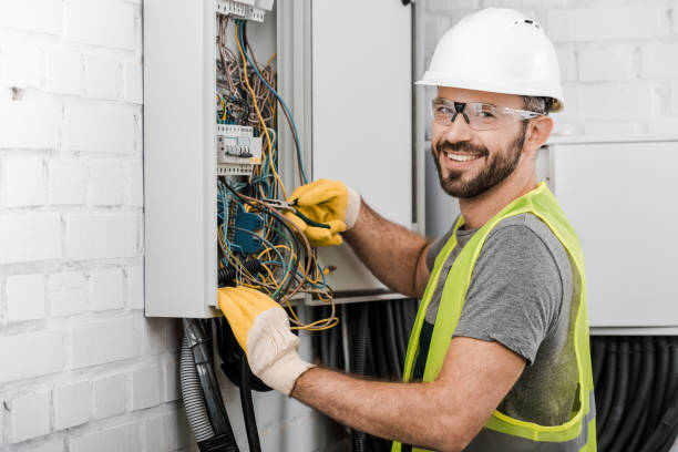 Best Ceiling Fan Installation Electrician  in Otsego, MI