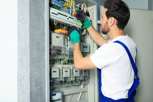 Best Electrical Repair Services  in Otsego, MI