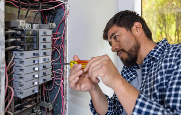 Best Electrical System Inspection  in Otsego, MI